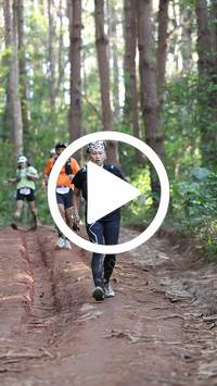 BIB:  <button type="button" onclick="openModal(26569915)" class="btn btn-primary btn-sm float-right" data-toggle="modal" data-target=".modal-high-quality">
                <i class="fa fa-download"></i> Download
                </button>